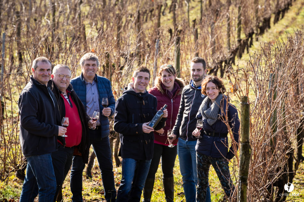 Cépage Cabernet Franc sur le terroir des sables fauves de Tursan