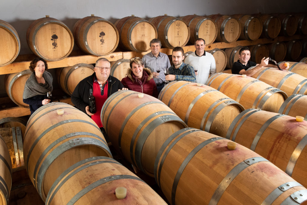 Coteaux de Gros Manseng dans le vignoble de Tursan